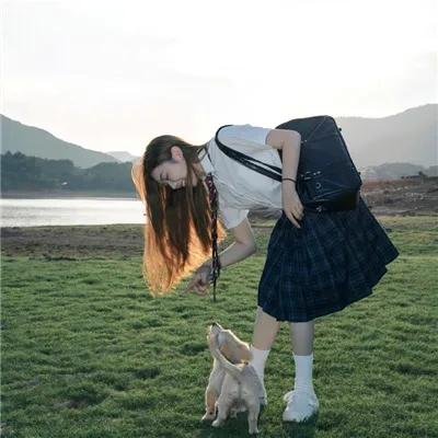 五香宫的猫